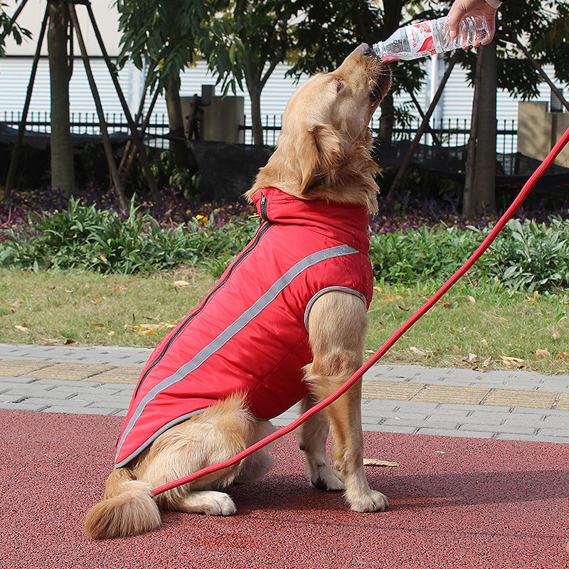 Keep Your Furry Friends Warm This Winter with Our Reflective Padded Winter Jacket