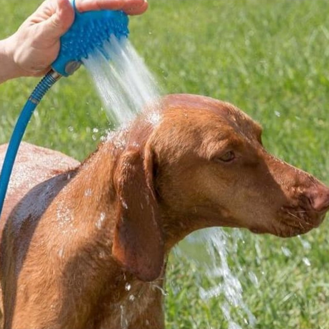 Pet Bathing Glove With Silicone Shower Massage Brush