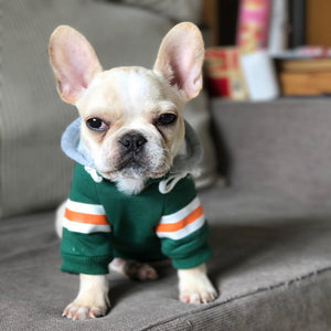 Why Your Pet Deserves the Best: The Pet Sweater That Combines Comfort and Style