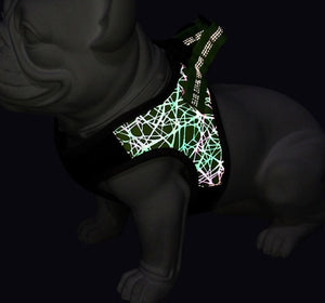Why You and Your Pet Will Love Our Pet Harness Vest With Matching Walking Leash Set