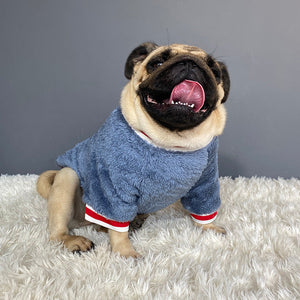 The Ultimate Pet Sweater for Your Furry Friend