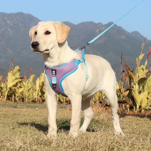 Breathable Adjustable Pet Harness With Matching Leash Set