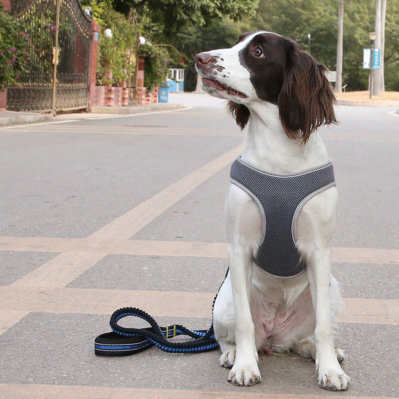 The Ultimate Pet Harness Vest With Matching Walking Leash Set