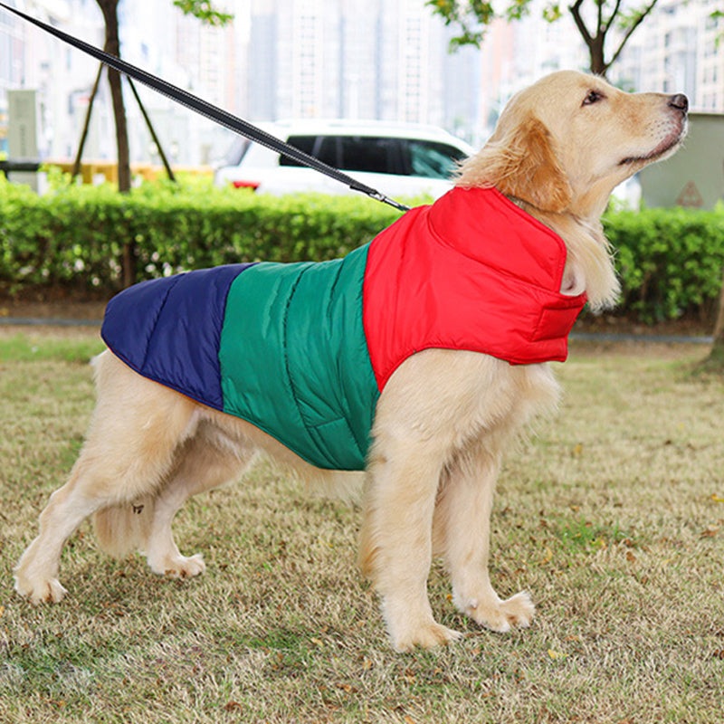 Keep Your Furry Friends Cozy This Autumn with Our Water-Repellent Down Jacket!