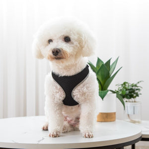 Elevate Your Pet's Walking Experience with Our Luxurious Harness