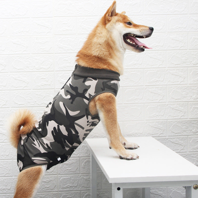 Fashion Multicolor Pet Clothes Everyday Wear
