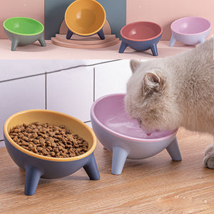 Nordic Style Pet Food Bowl Feeder With Stand: A Must-Have for Your Furry Friends