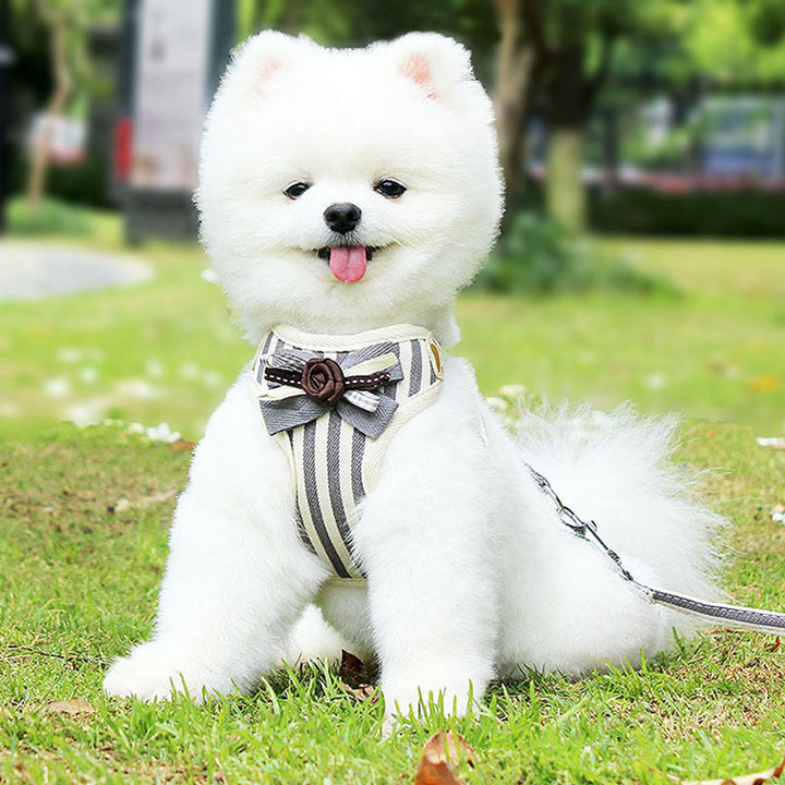 New Pet Vest Chest Harness And Leash Set