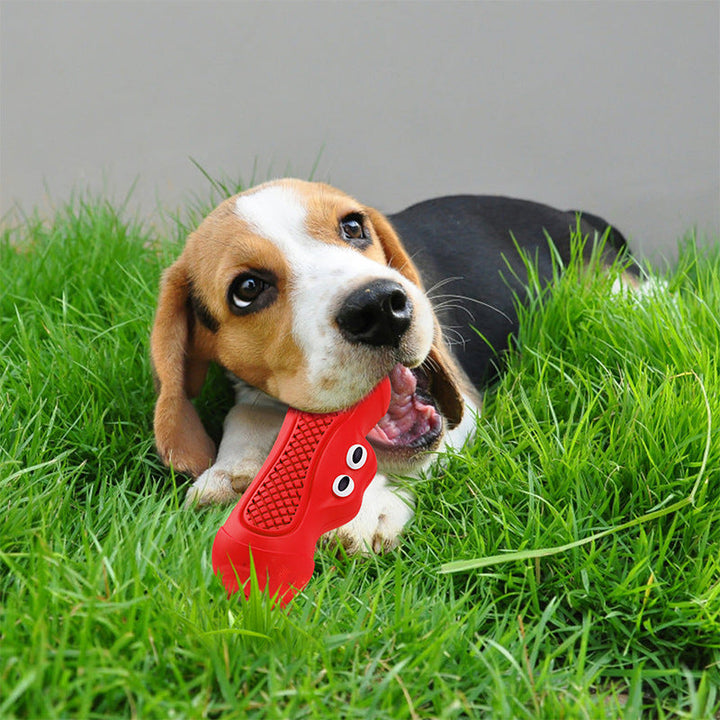Natural Rubber Pet Chew Toy: The Perfect Companion for Your Teething Puppy