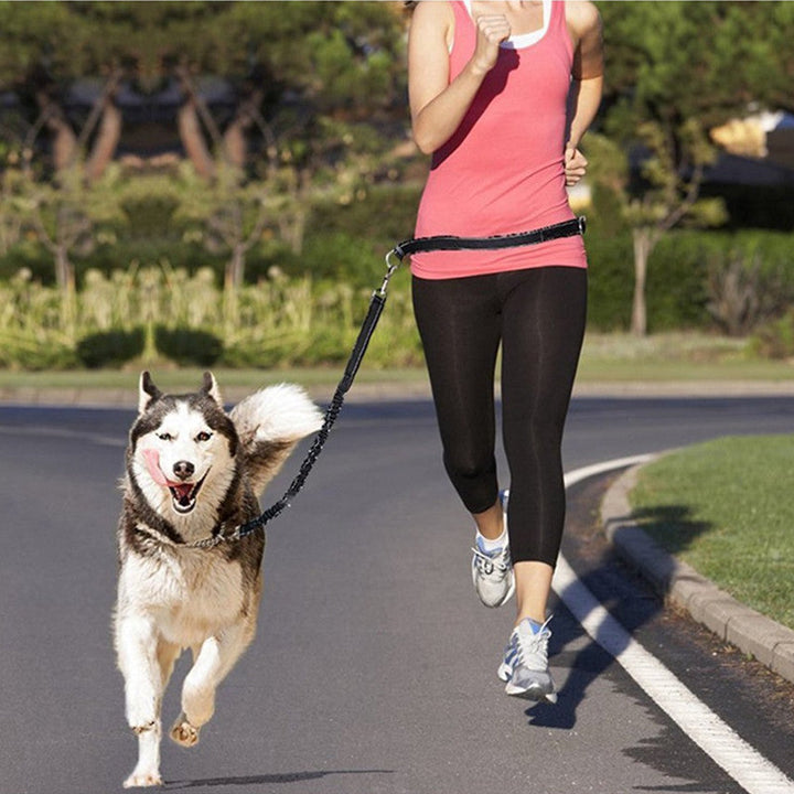 Elevate Your Pet's Outdoor Adventures with Our Adjustable Pet Harness Collar and Jogging Leash Set