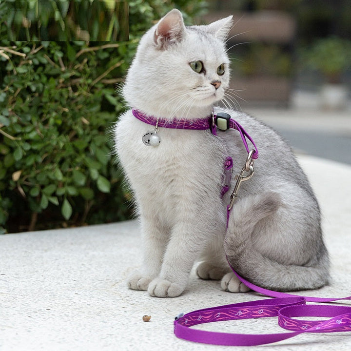 The Perfect Pet Companion: Pet Bell Harness Vest With Matching Walking Leash Set