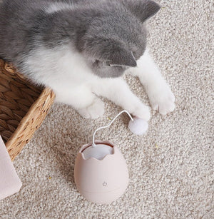 Unleash the Fun with Our Funny Interactive Pet Toy