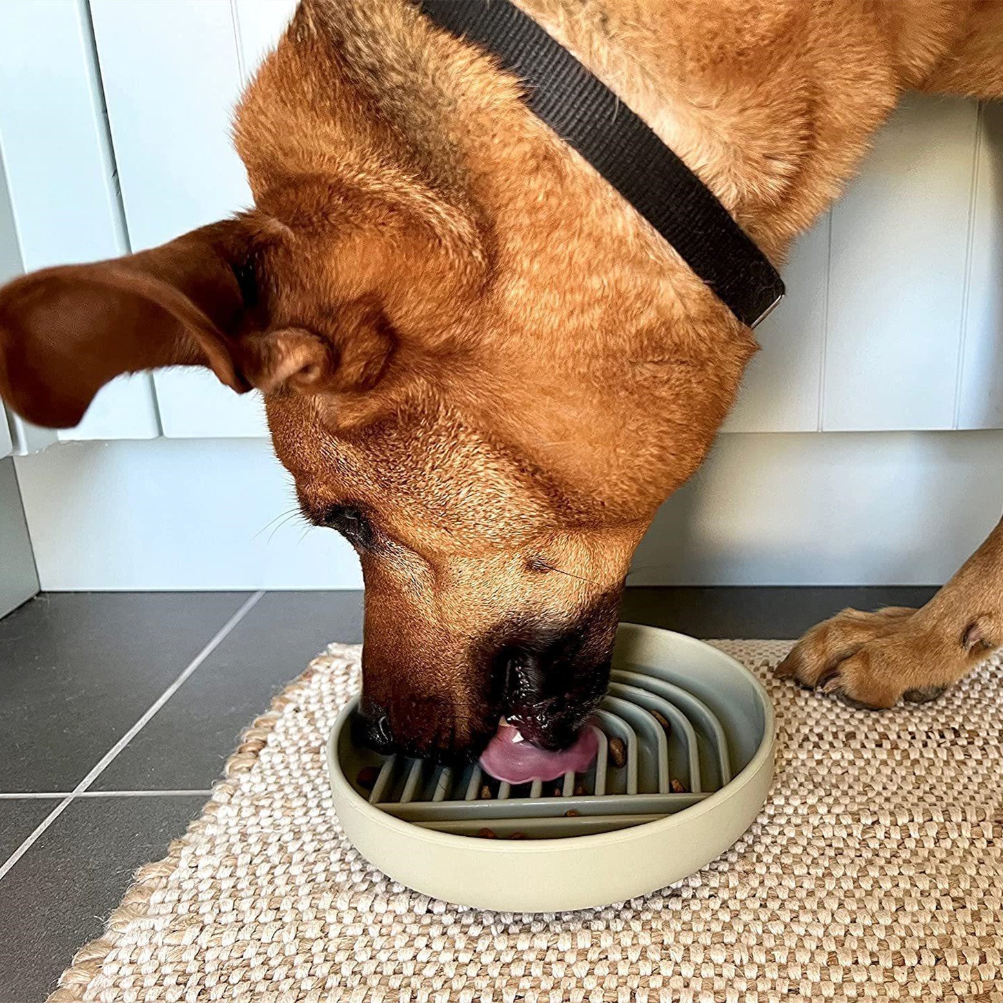 Elevate Your Pet's Dining Experience with Our Fashionable Simple Slow Feeder Pet Bowl
