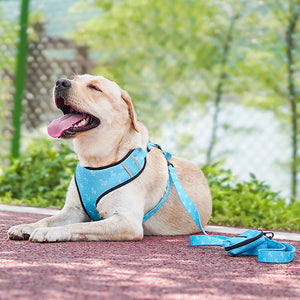 Elevate Your Pet's Style with Our Pet Harness And Leash Set With Decorative Bow
