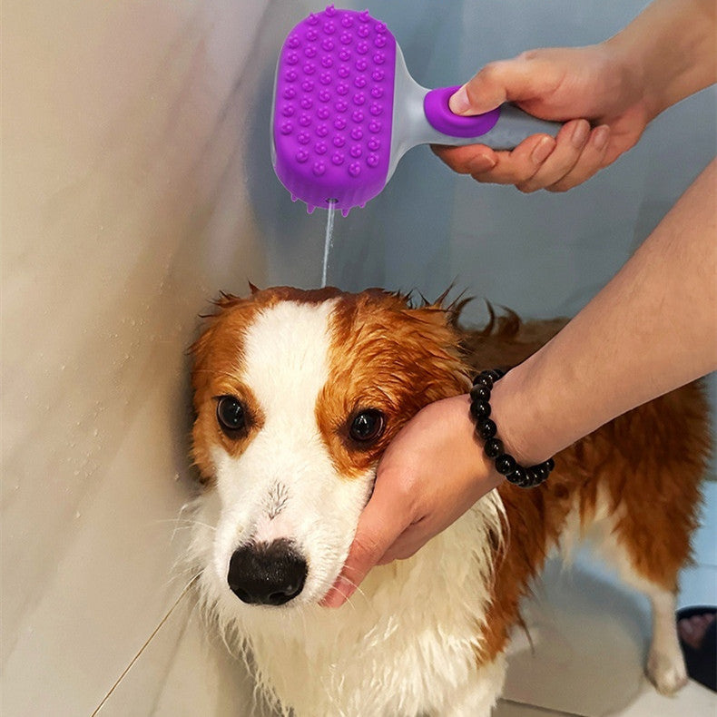 Why Your Pet Deserves the Best Bath Experience