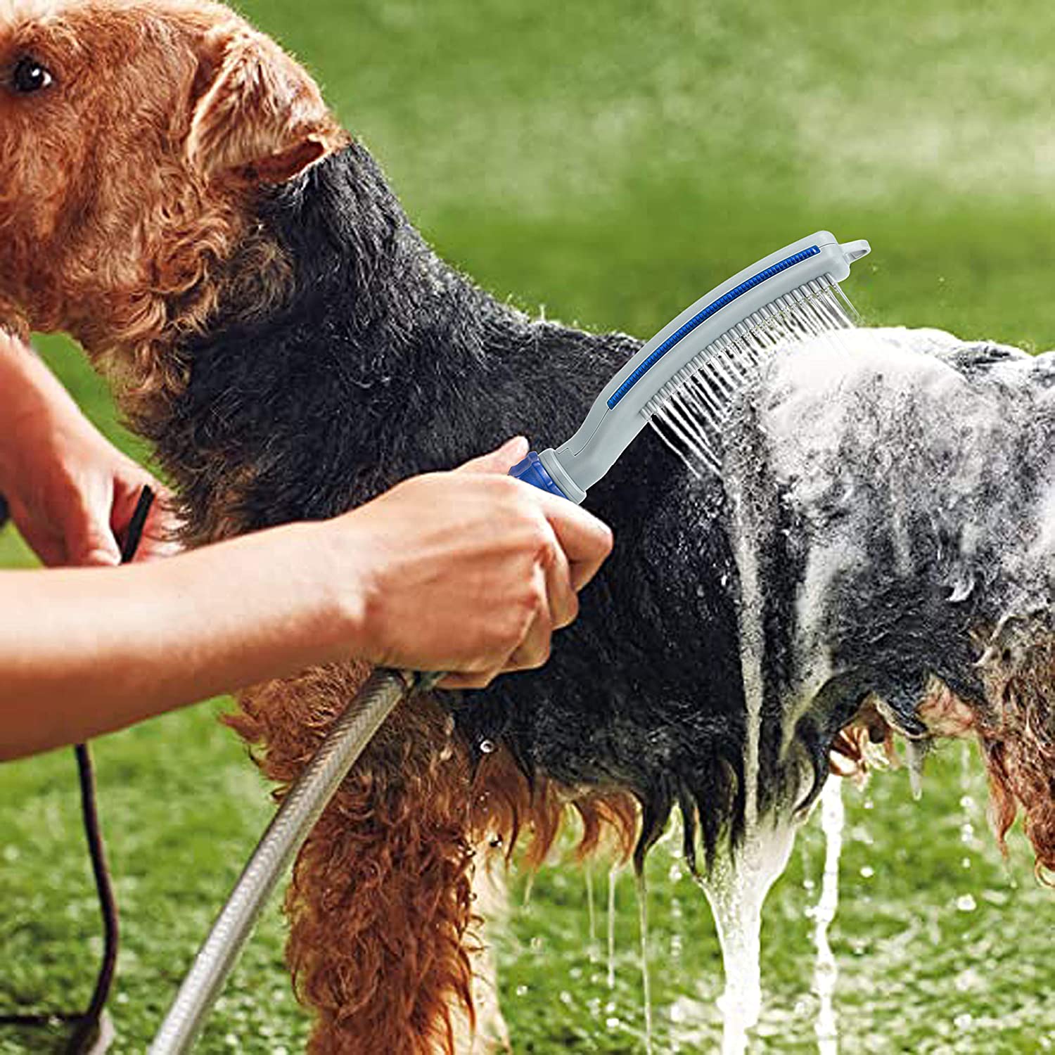 Transform Bath Time with the Pet Bath Brush Shower With Water Hose