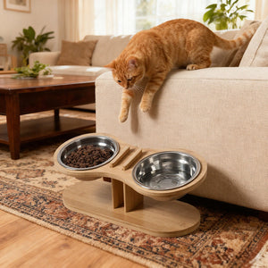 Transform Your Pet's Mealtime with Our Adjustable Tilted Stand