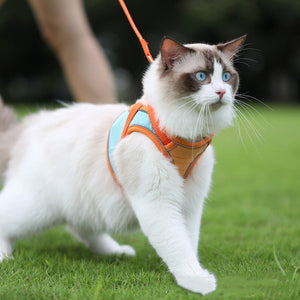 The Ultimate Safety Solution for Your Pet: Anti-Escape Reflective Pet Harness And Leash Set