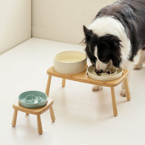Enhancing Your Pet's Mealtime: The Anti Choking Tip Proof Ceramic Slow Feeder Pet Bowl